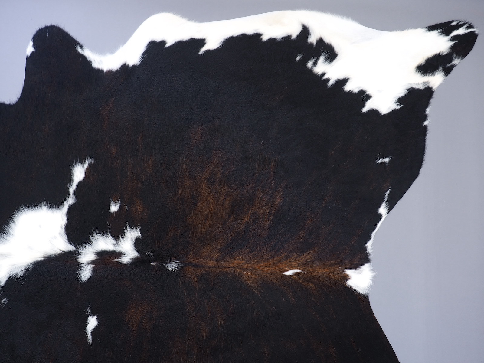 Ковер шкура коровы натуральная черно-белая красноватая арт.: 29510