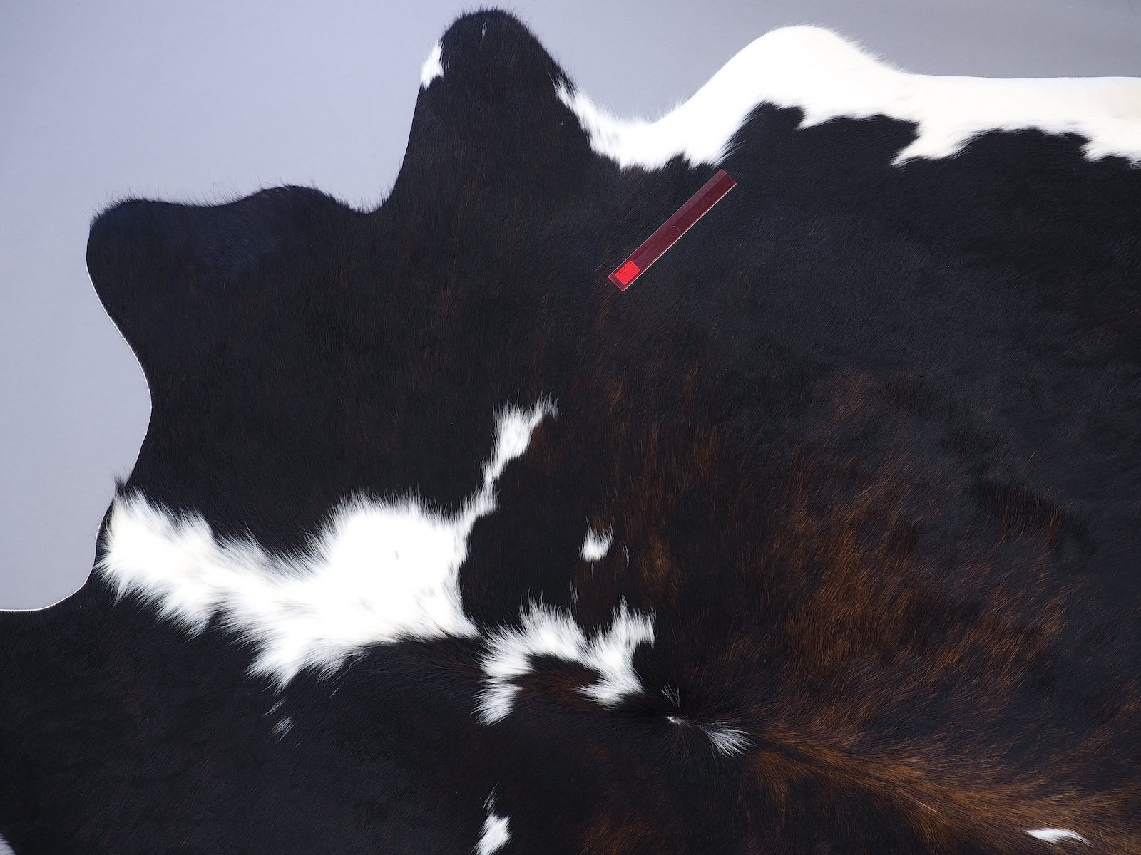 Ковер шкура коровы натуральная черно-белая красноватая арт.: 29510