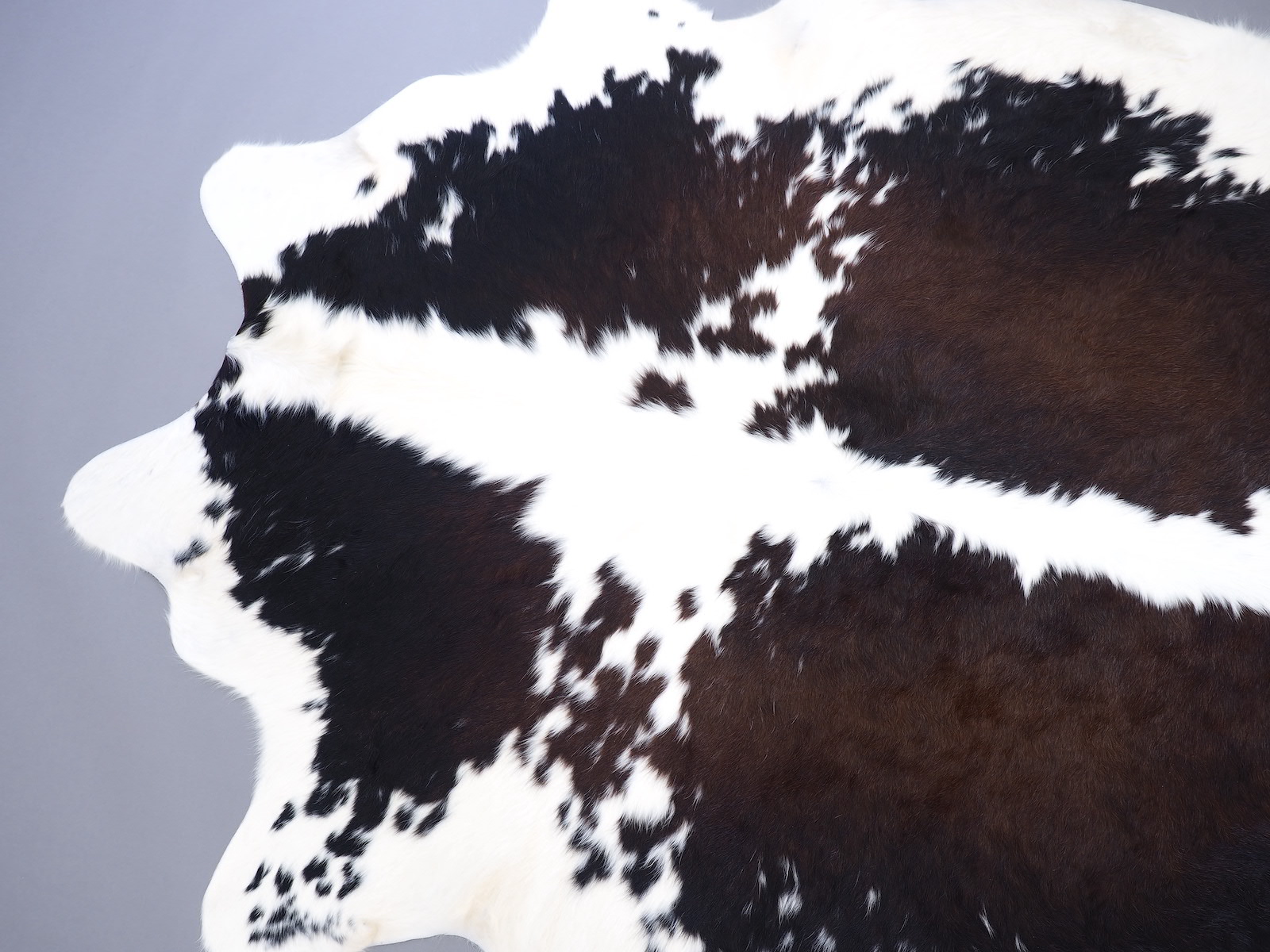 Шкура коровы натуральная черно-белая красноватая арт.: 29511 - t29511_01