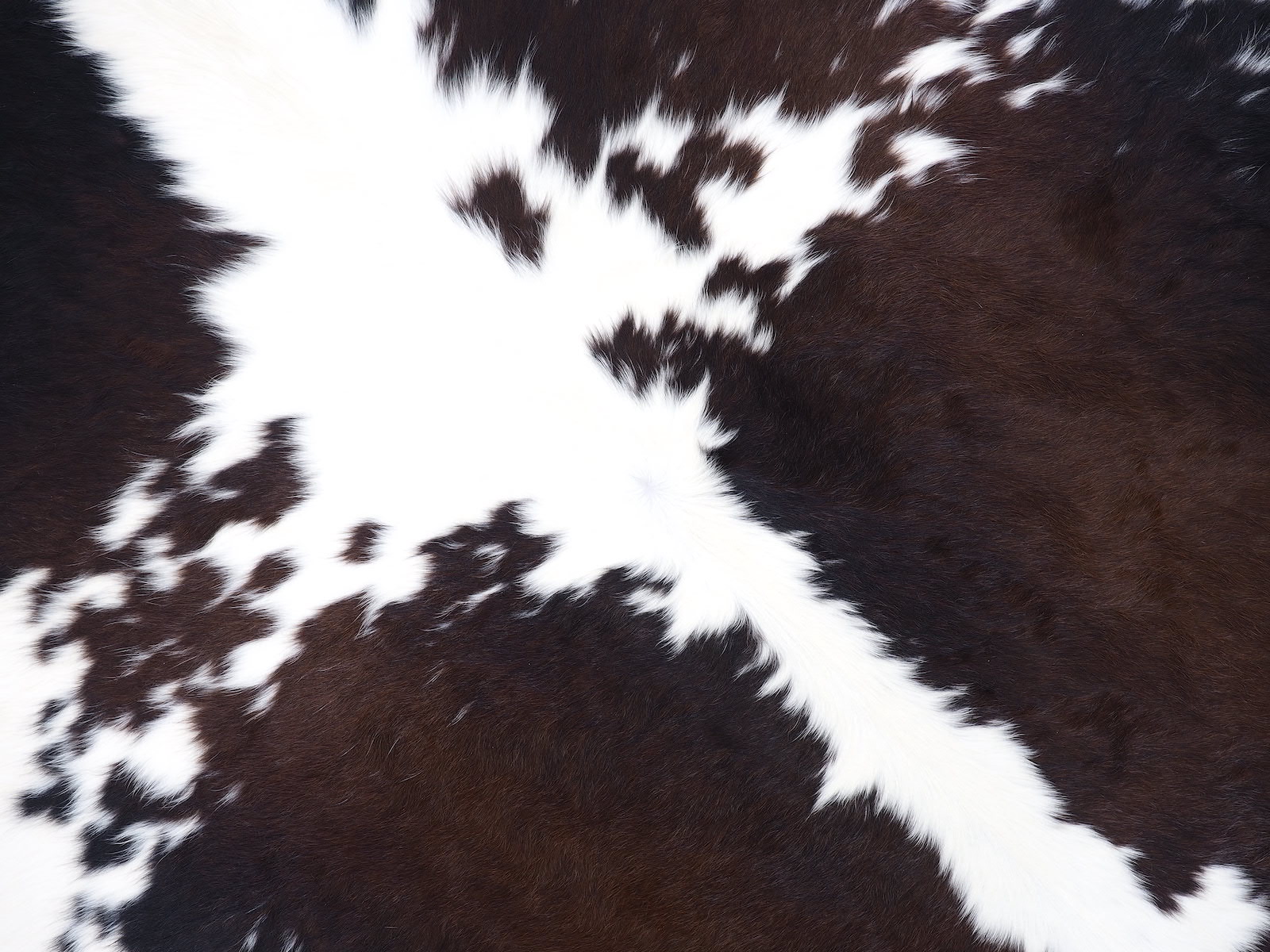 Шкура коровы натуральная черно-белая красноватая арт.: 29511