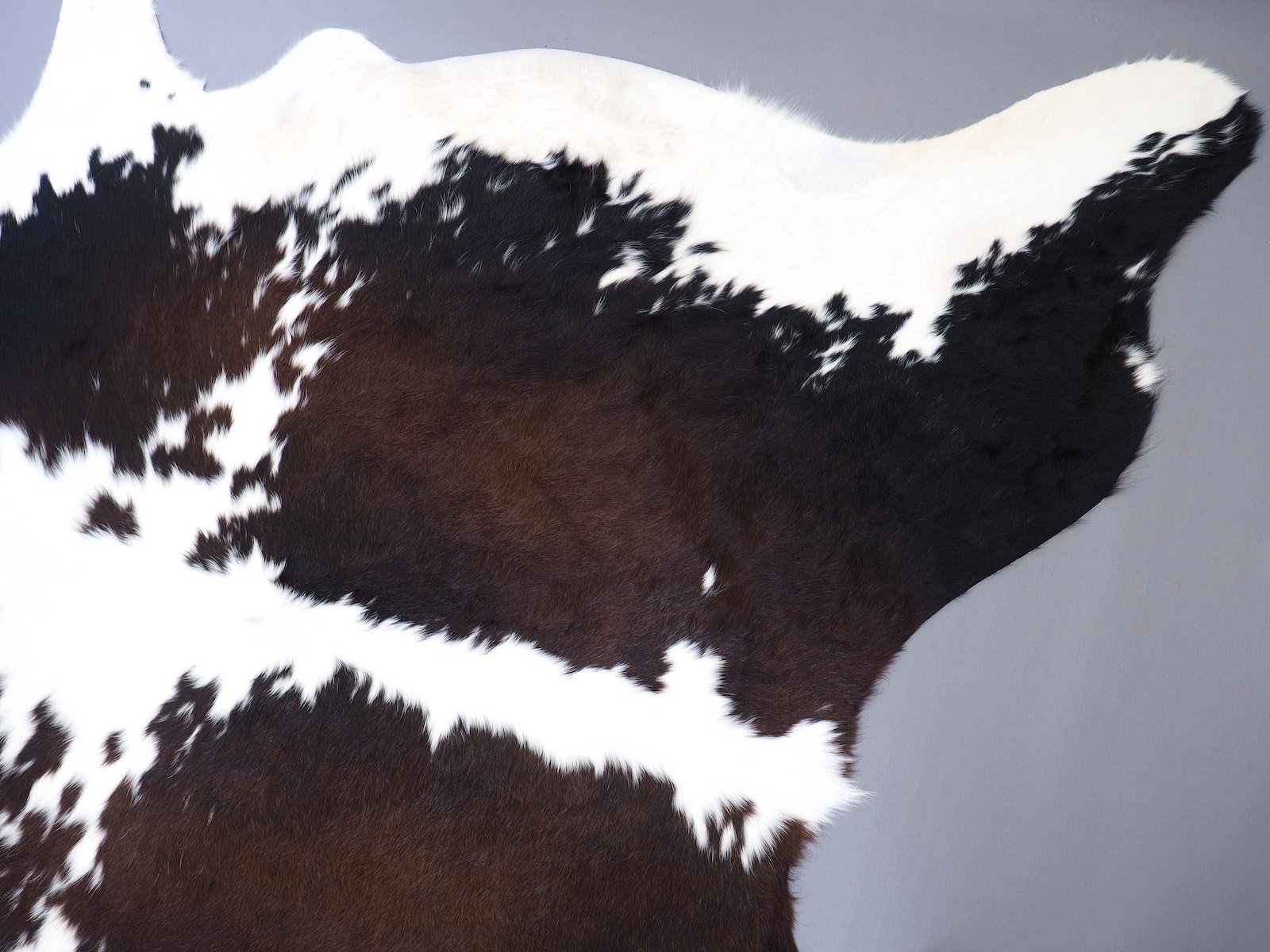 Шкура коровы натуральная черно-белая красноватая арт.: 29511