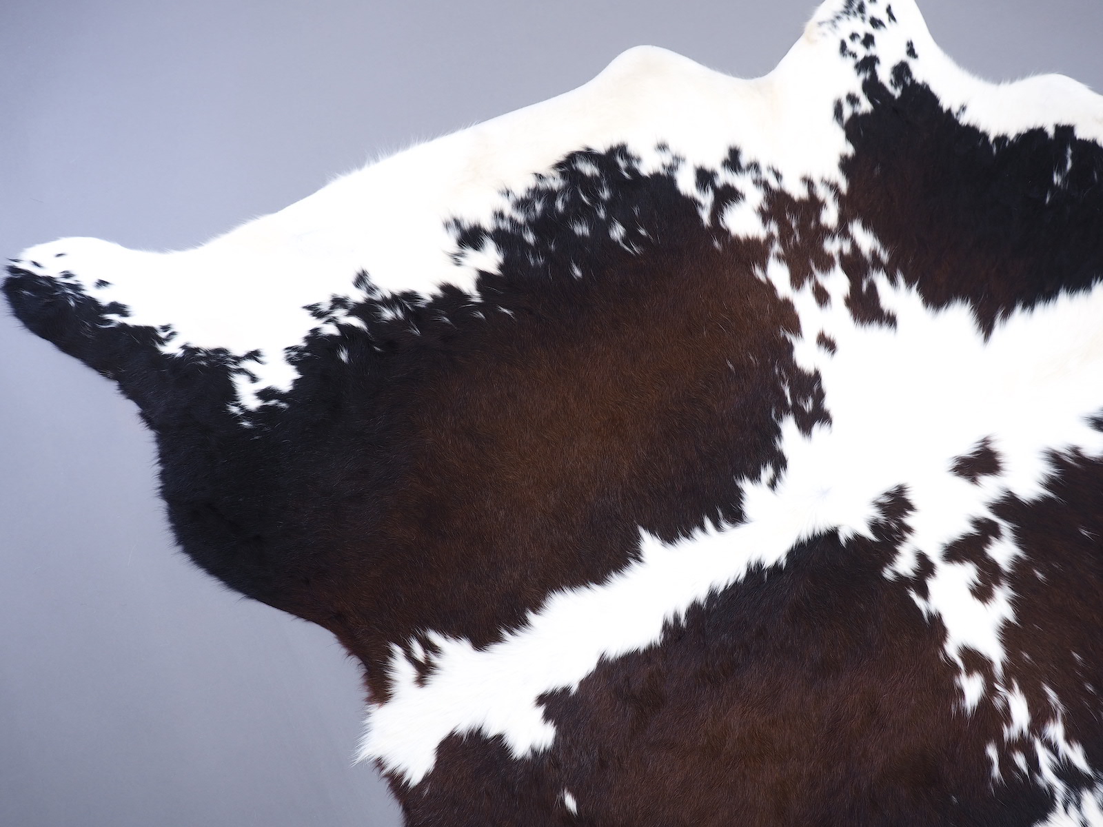 Шкура коровы натуральная черно-белая красноватая арт.: 29511 - p29511_06