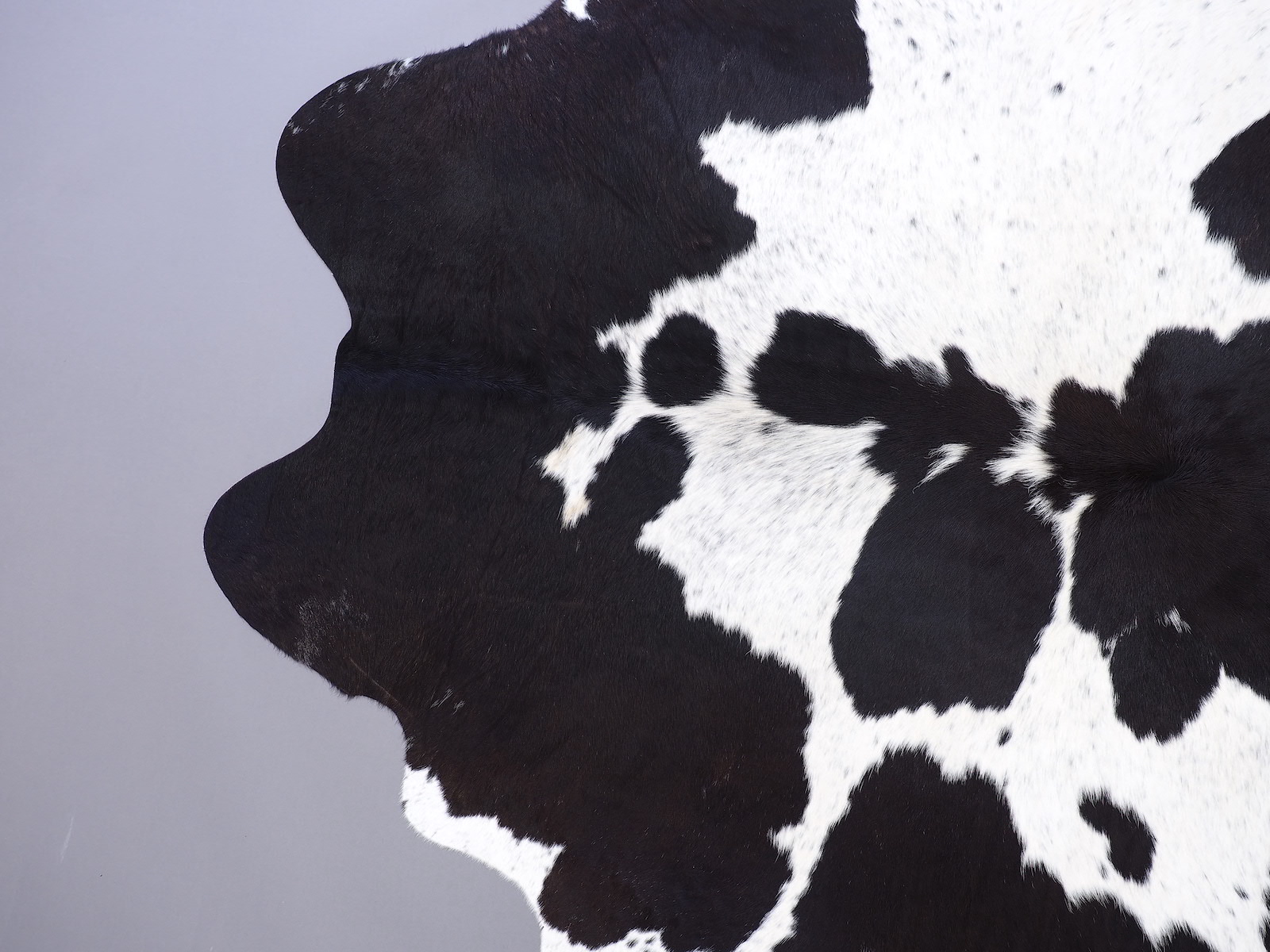 Ковер шкура коровы черно-белая красноватая арт.: 30128 - t30128_3