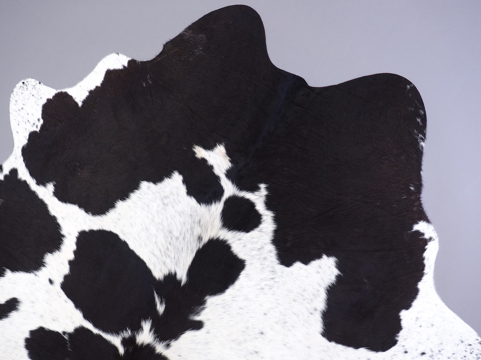 Ковер шкура коровы черно-белая красноватая арт.: 30128 - p30128_7