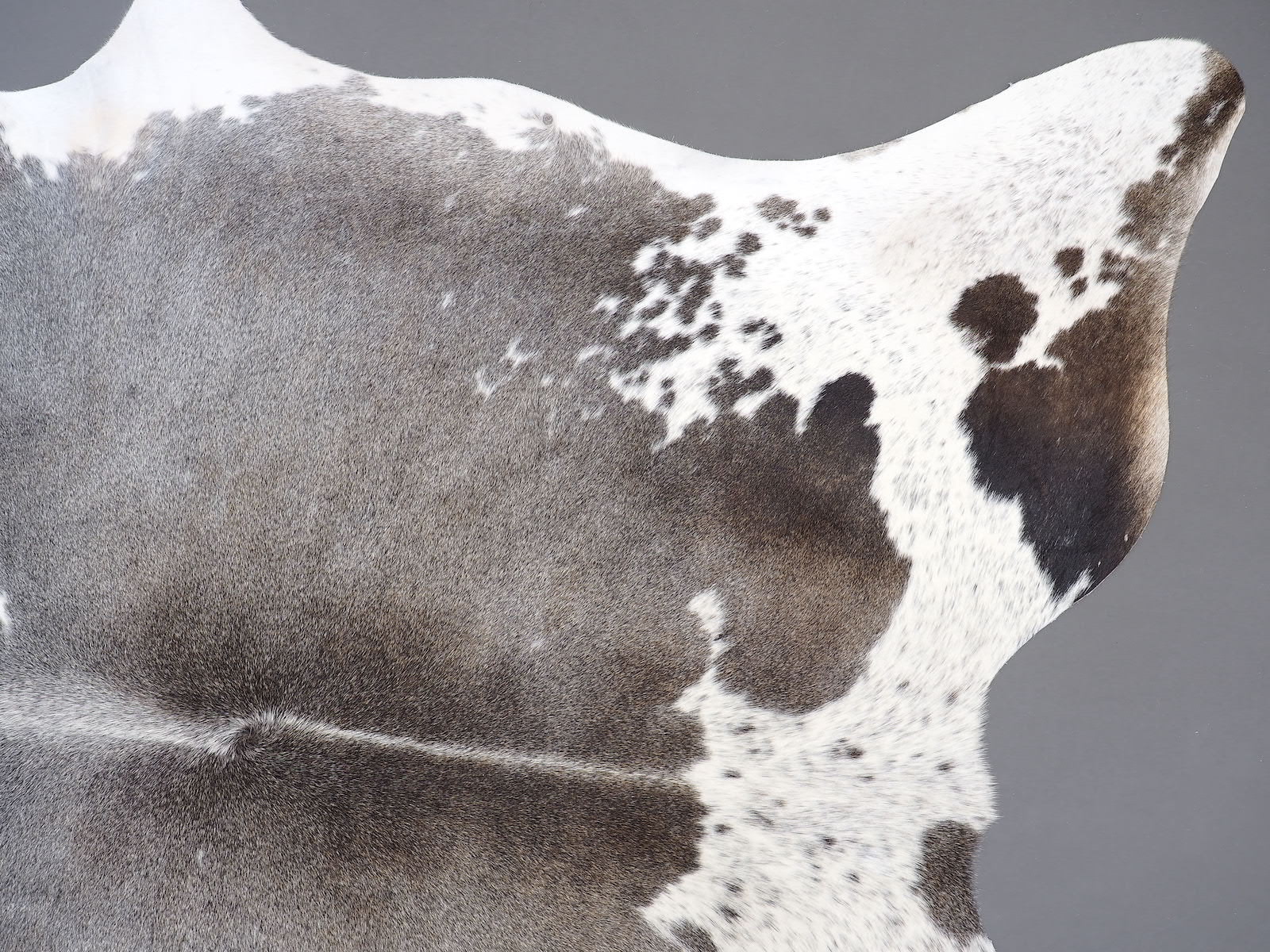 Натуральная шкура коровы серая арт.: 30161