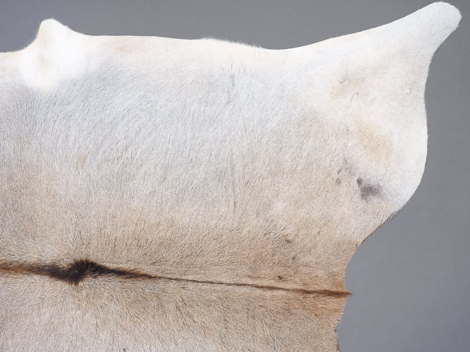 Коровья шкура серая натуральная арт.: 30171