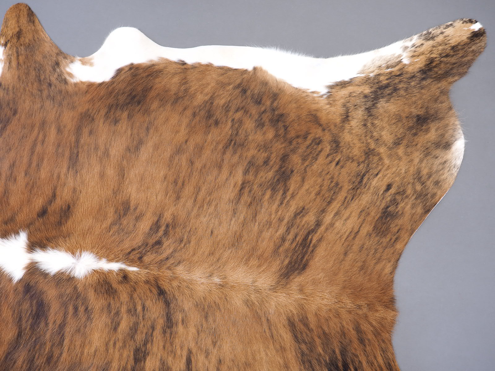Коровья шкура тигровая с белой холкой арт.: 30177