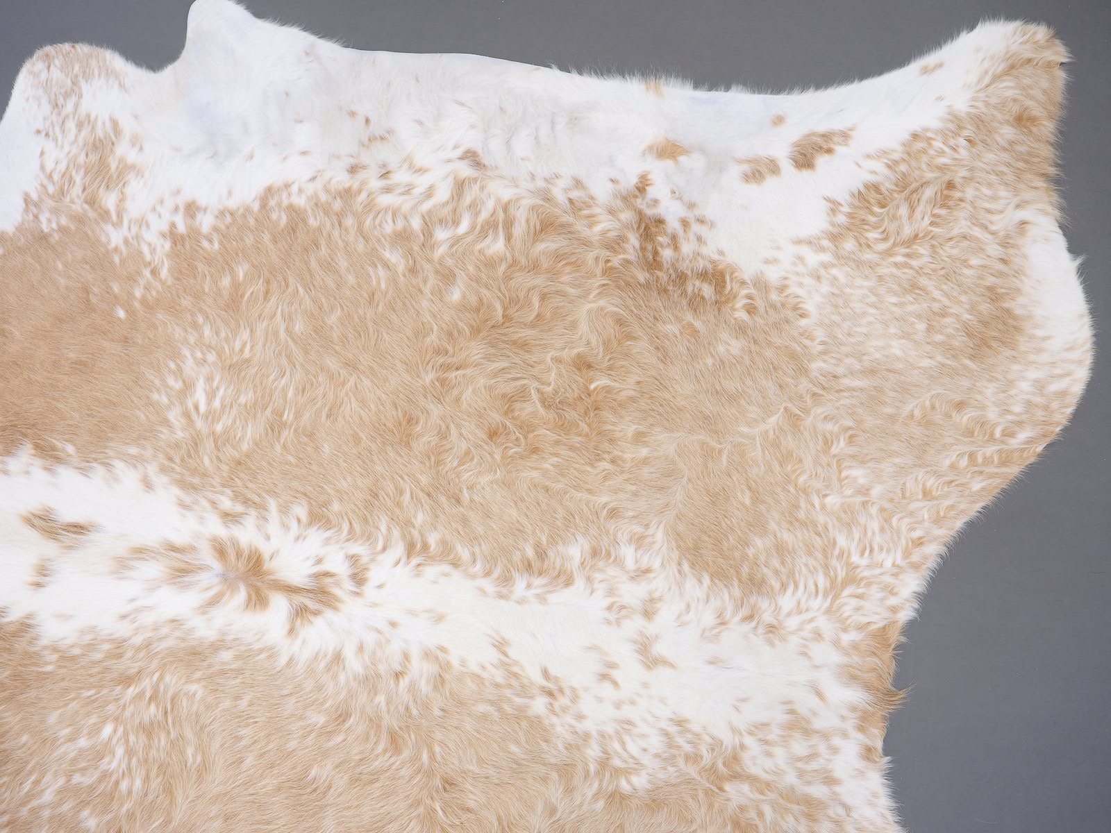 Коровья шкура натуральная бежево-белая арт.: 30180