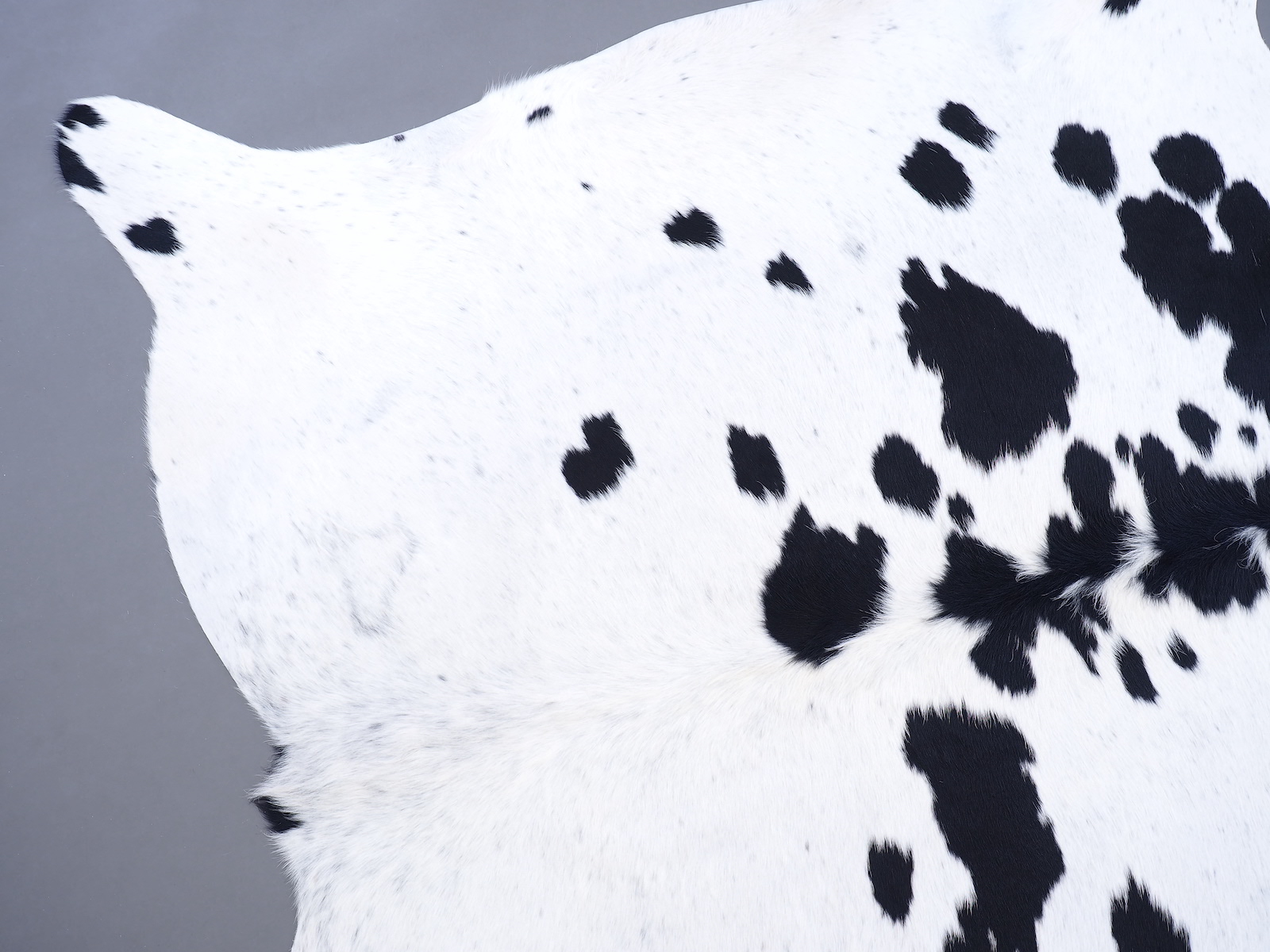 Ковер шкура коровы на пол черно-белая арт.: 30201 - t30201_3