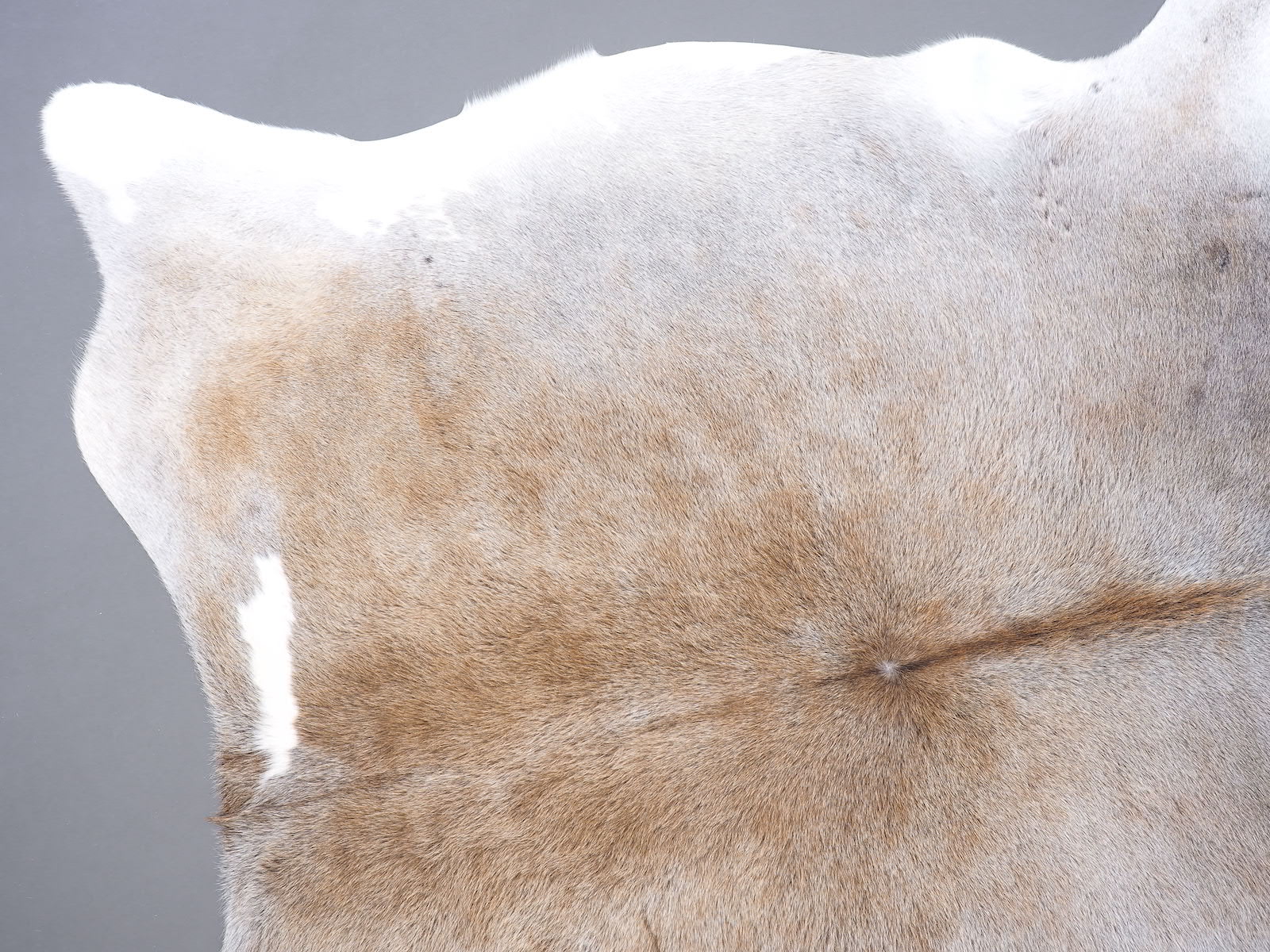 Коровья шкура ковер на пол серо-бежевая арт.: 30205 - t30205_1