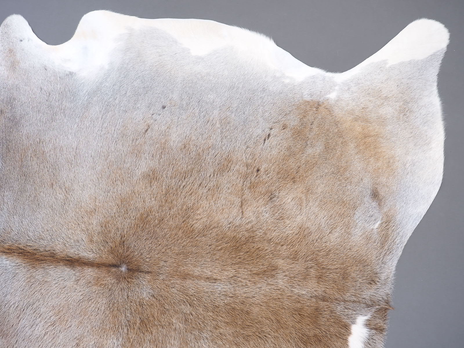 Коровья шкура ковер на пол серо-бежевая арт.: 30205 - p30205_4