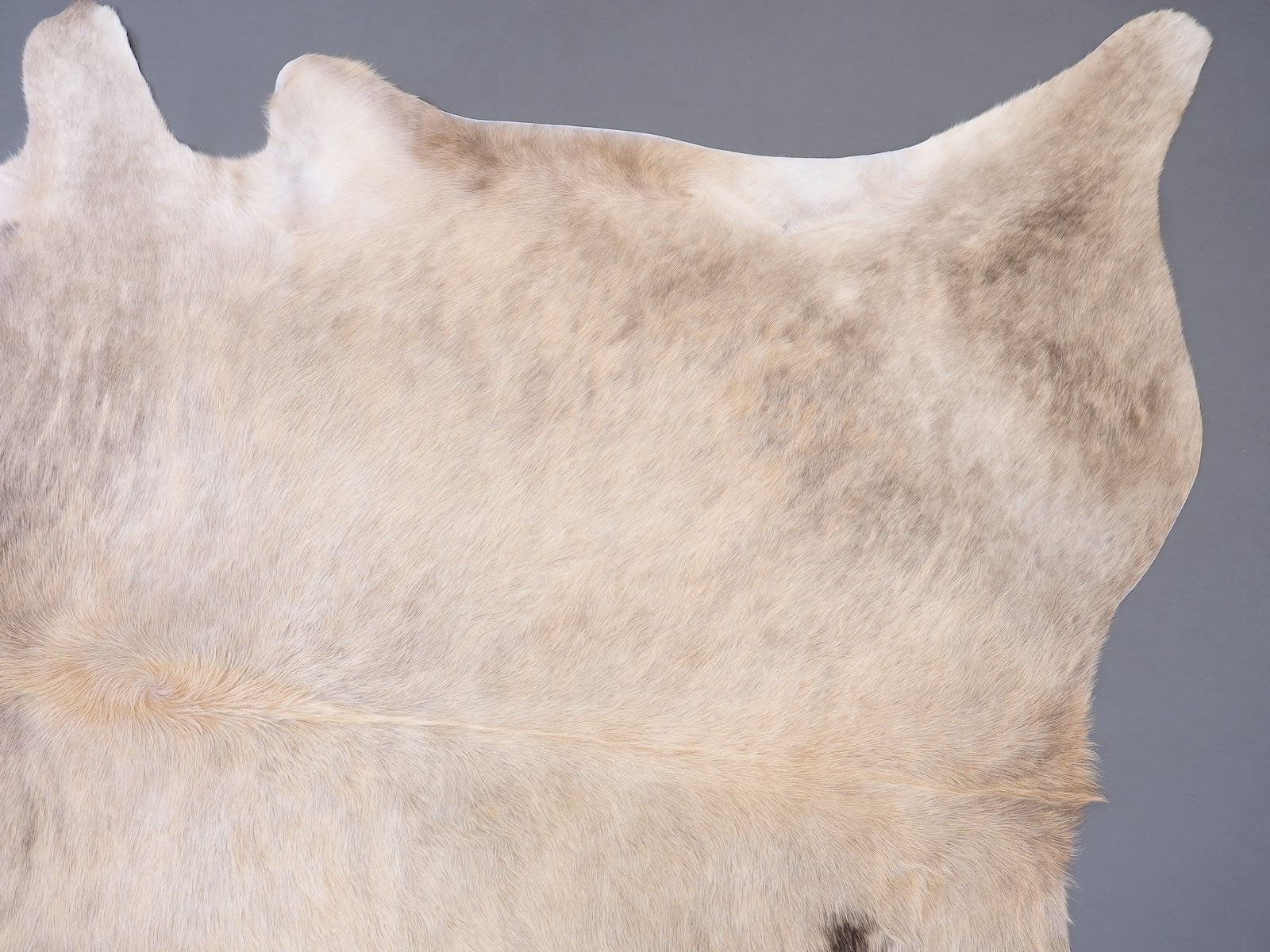 Ковер шкура коровы натуральная золотистая арт.: 30212