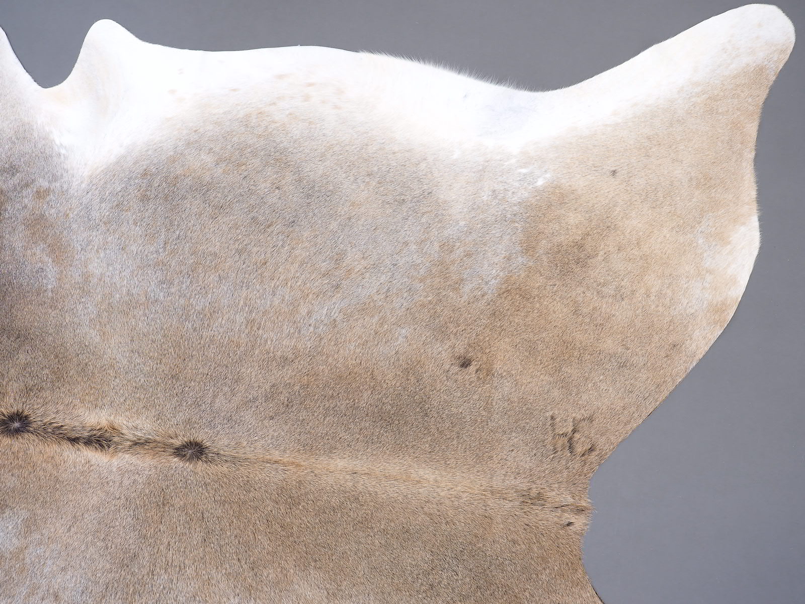 Коровья шкура ковер на пол серо-бежевая арт.: 30216 - t30216_4