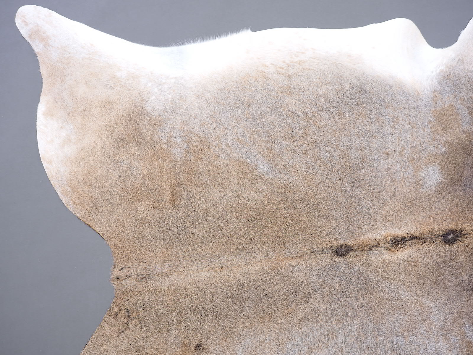 Коровья шкура ковер на пол серо-бежевая арт.: 30216 - t30216_6
