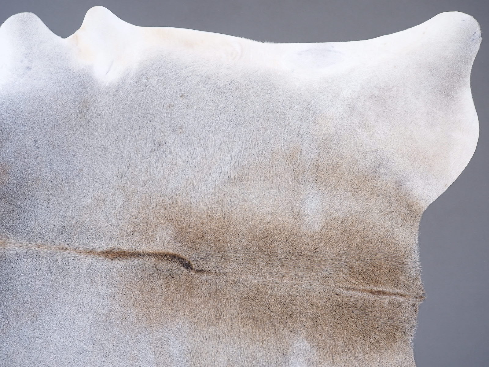 Коровья шкура ковер на пол серая арт.: 30217 - t30217_1