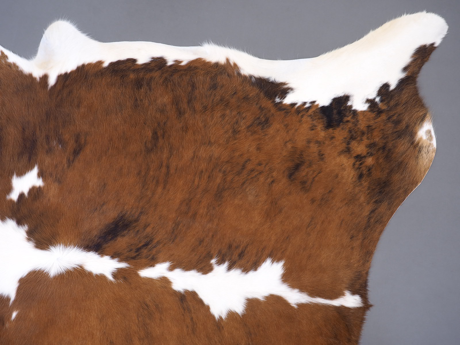 Коровья шкура светло-тигровая с белой холкой арт.: 30234 - p30234_2
