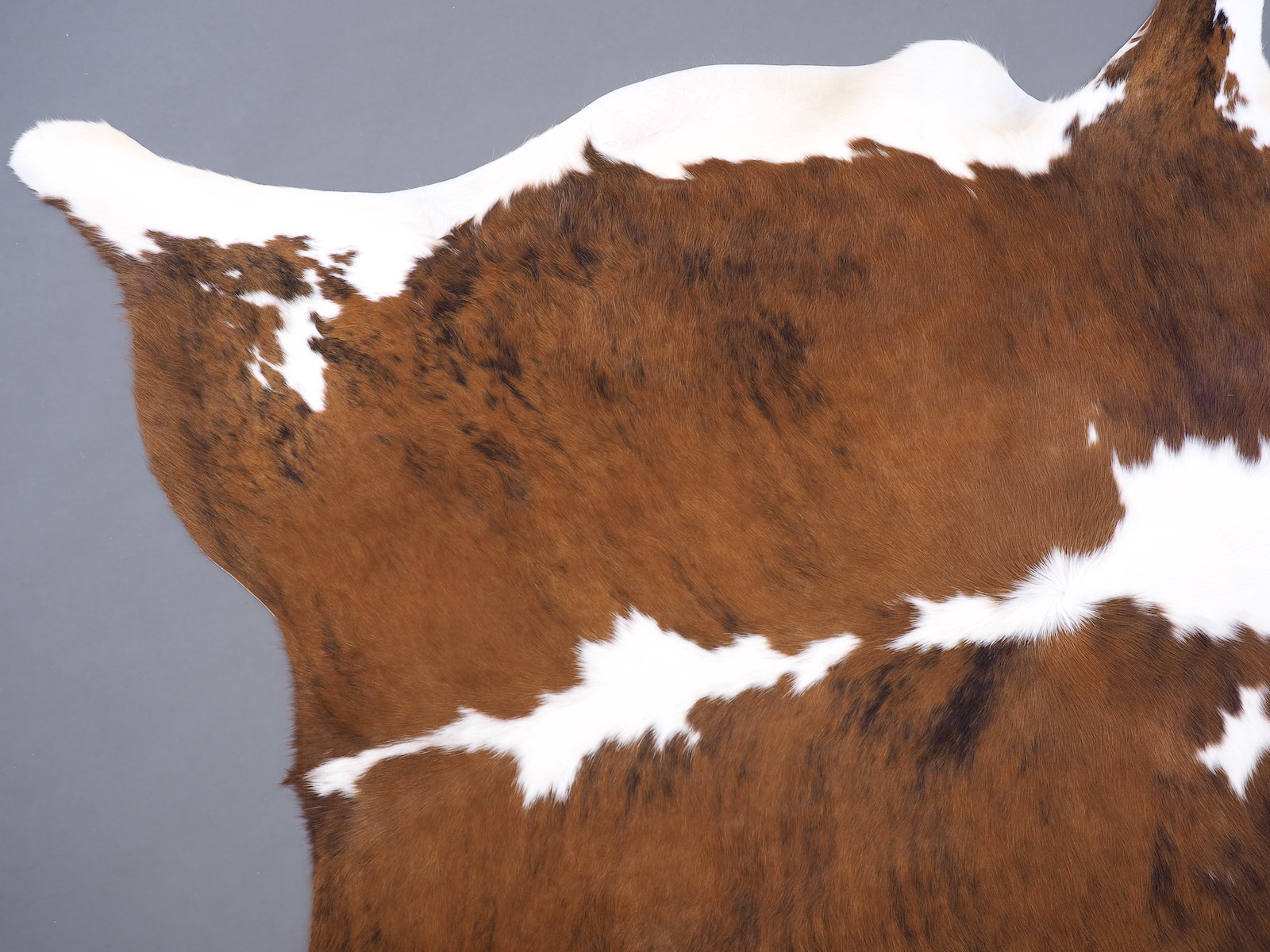 Коровья шкура светло-тигровая с белой холкой арт.: 30234 - t30234_4