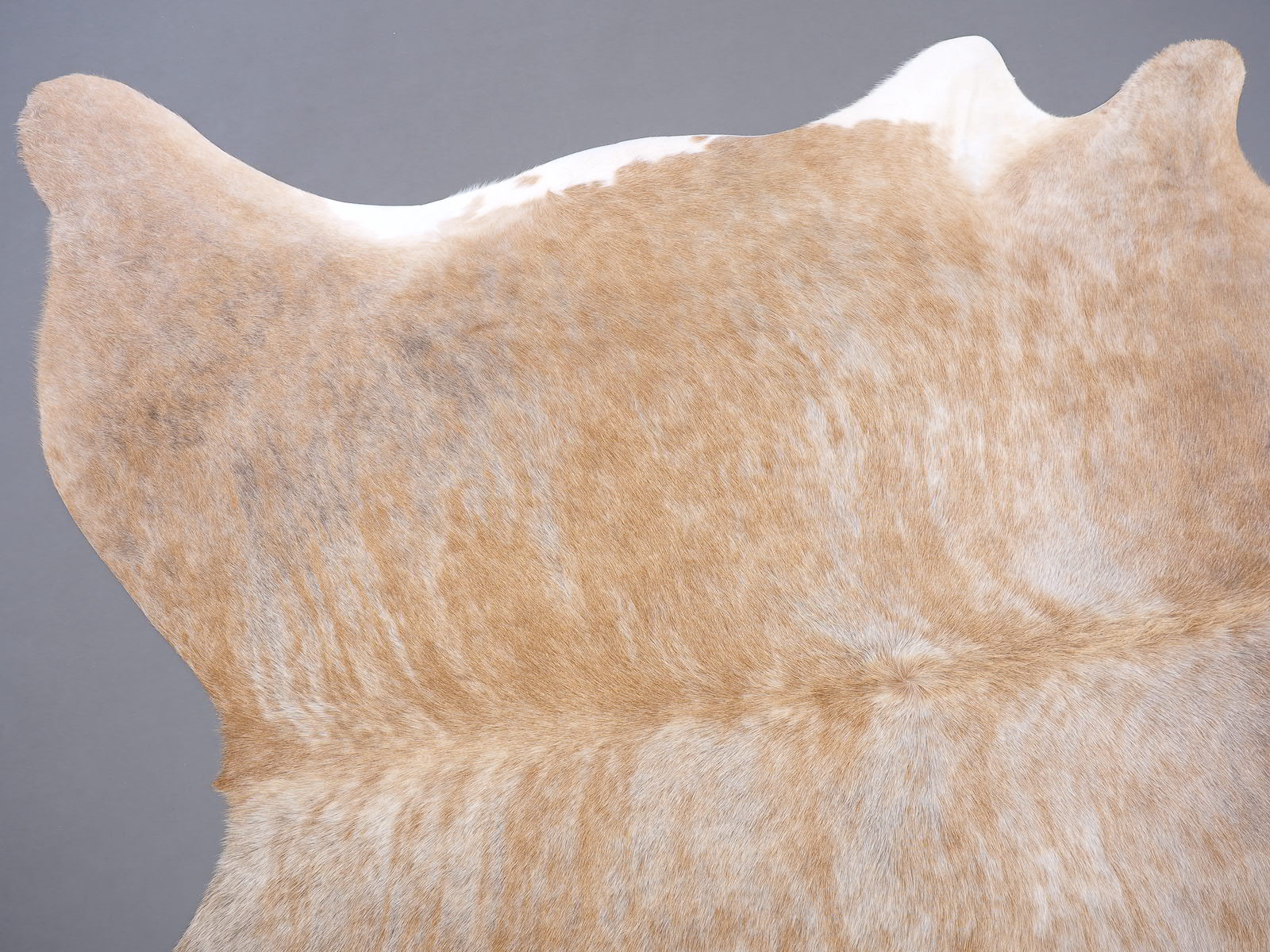 Коровья шкура натуральная тигрово-бежевая арт.: 30250
