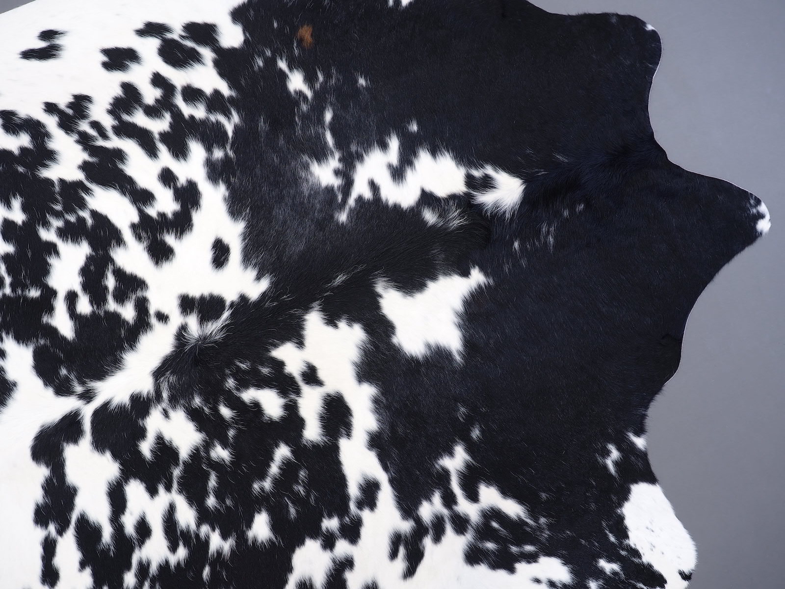 Коровья шкура натуральная черно-белая арт.: 30276