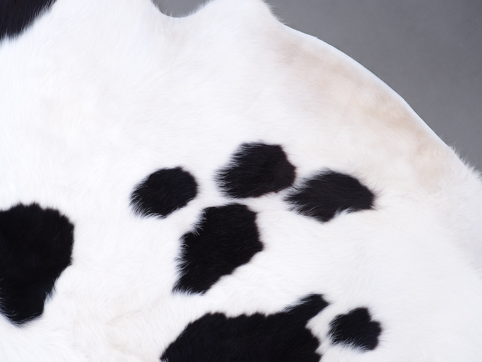 Ковер шкура коровы на пол черно-белая арт.: 30308 - t30308_6