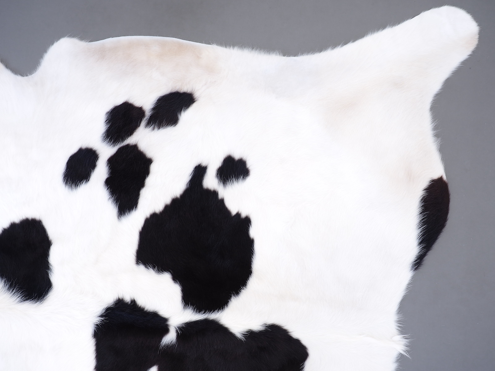 Ковер шкура коровы на пол черно-белая арт.: 30308 - p30308_7