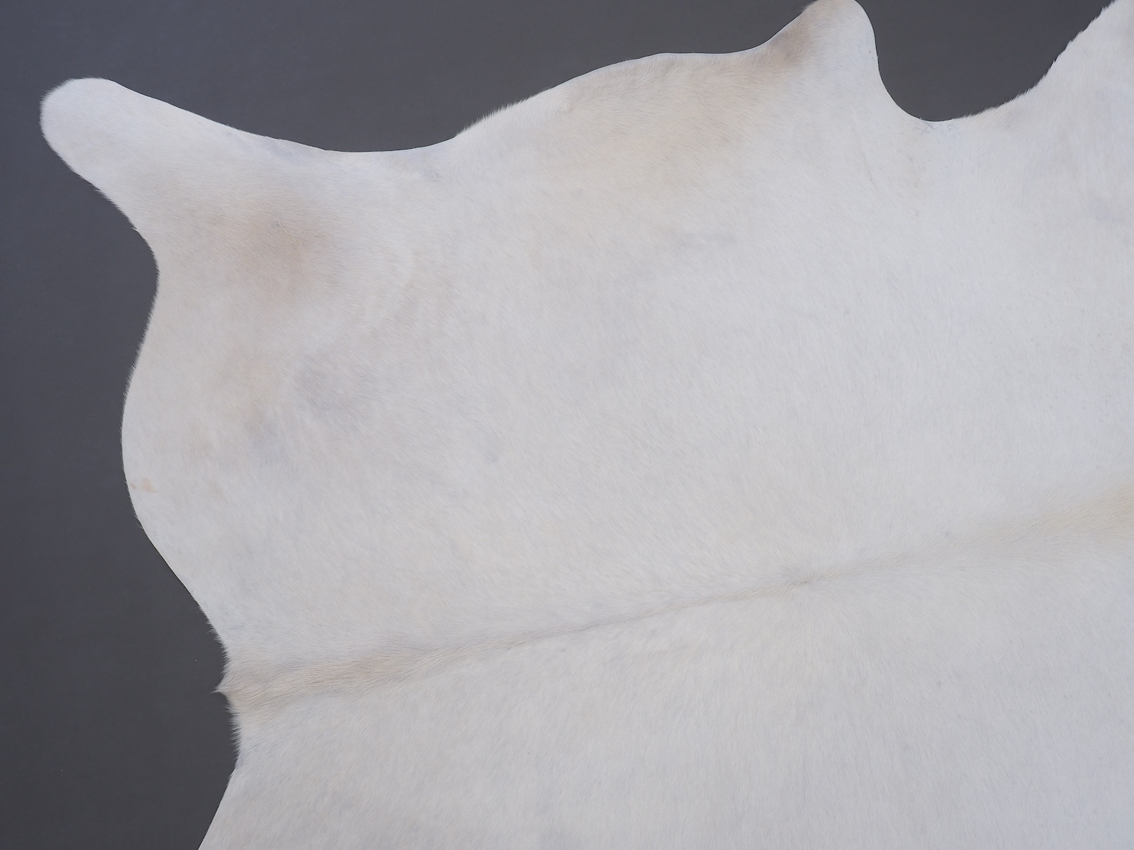 Коровья шкура натуральная белая арт.: 30362 - p30362_18
