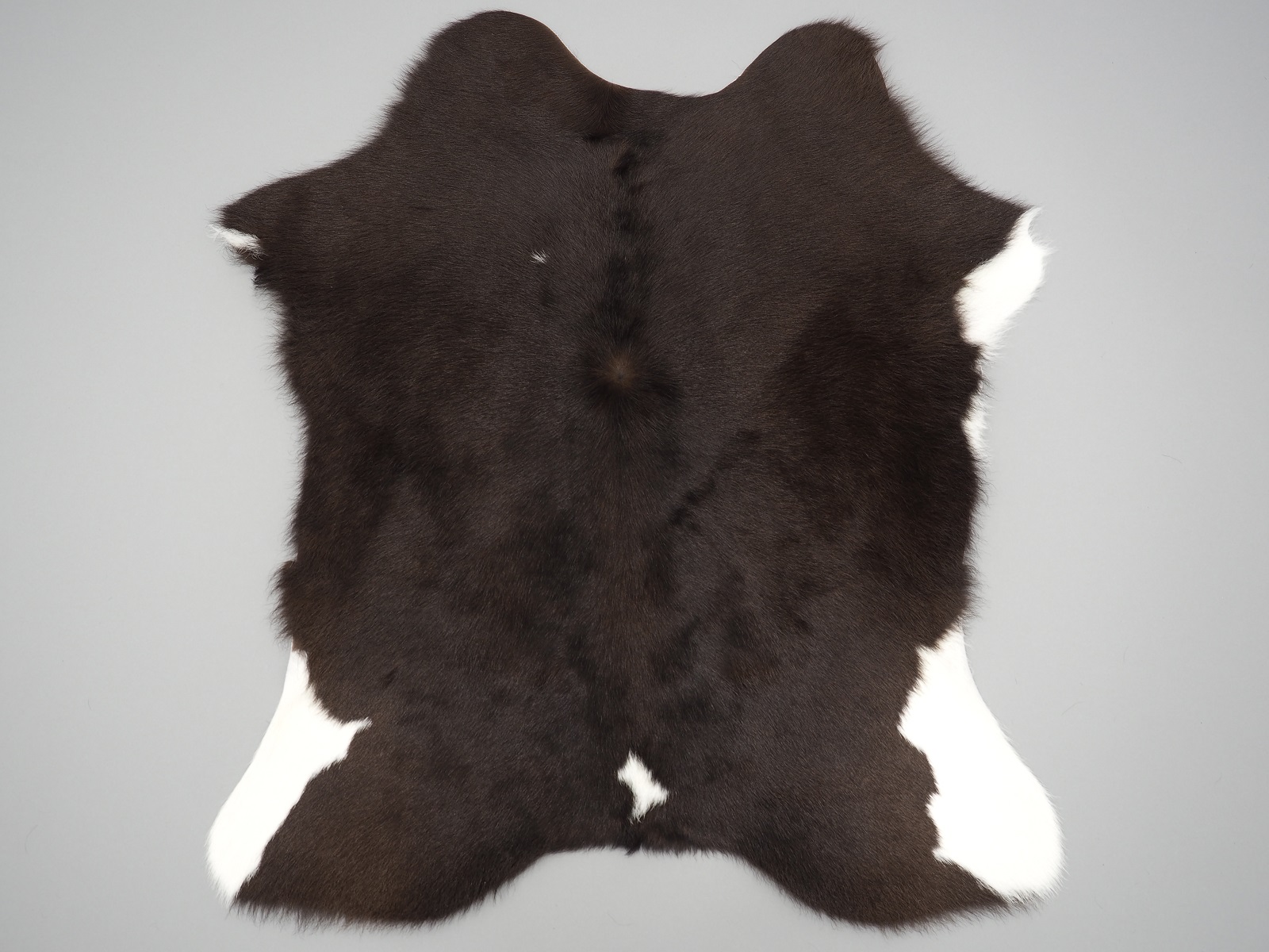 Телячья шкура темно-коричневая с белым животом арт.: 27057