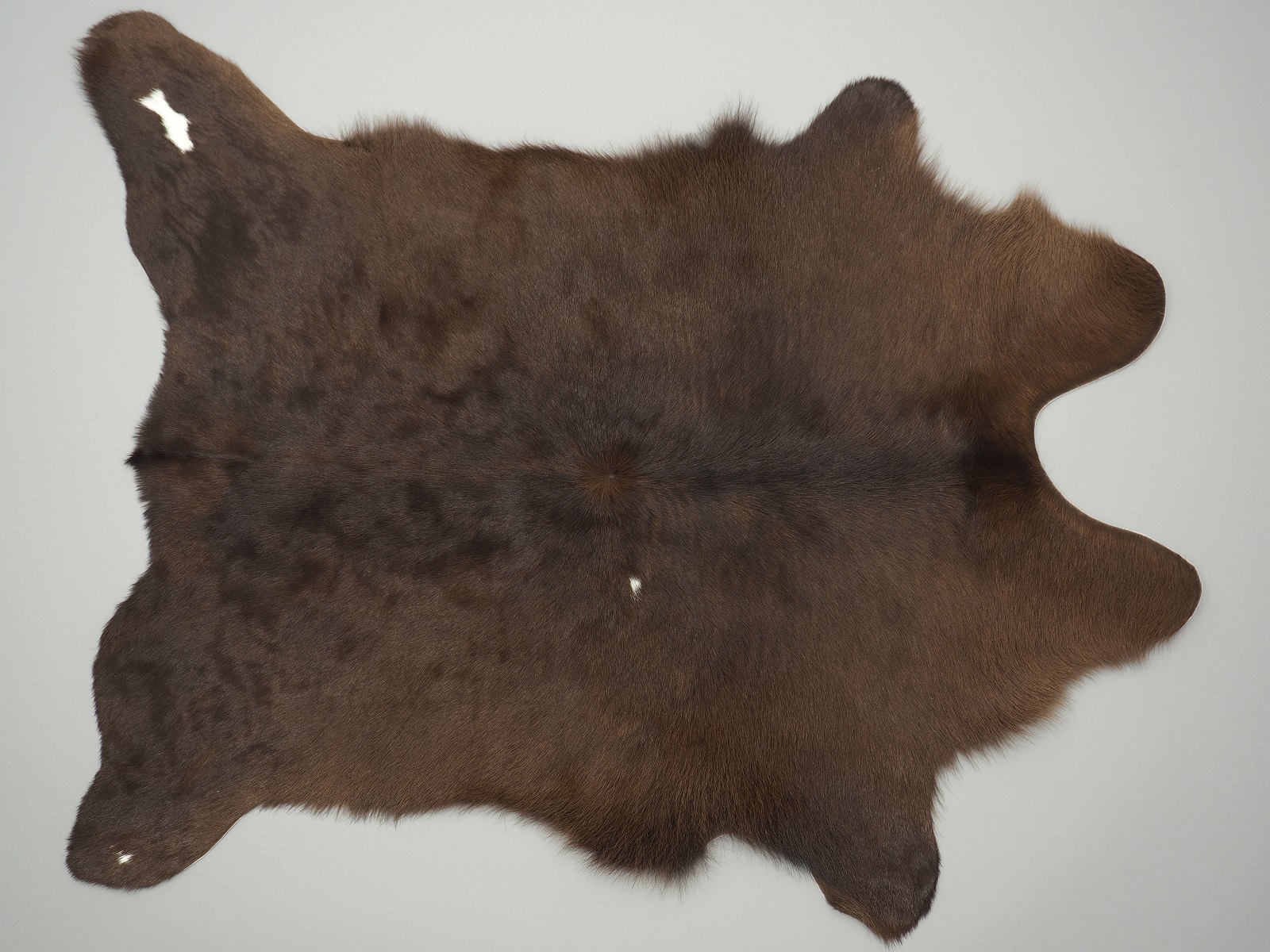 Шкура теленка коричневая с белым пятнышком арт.: 27072