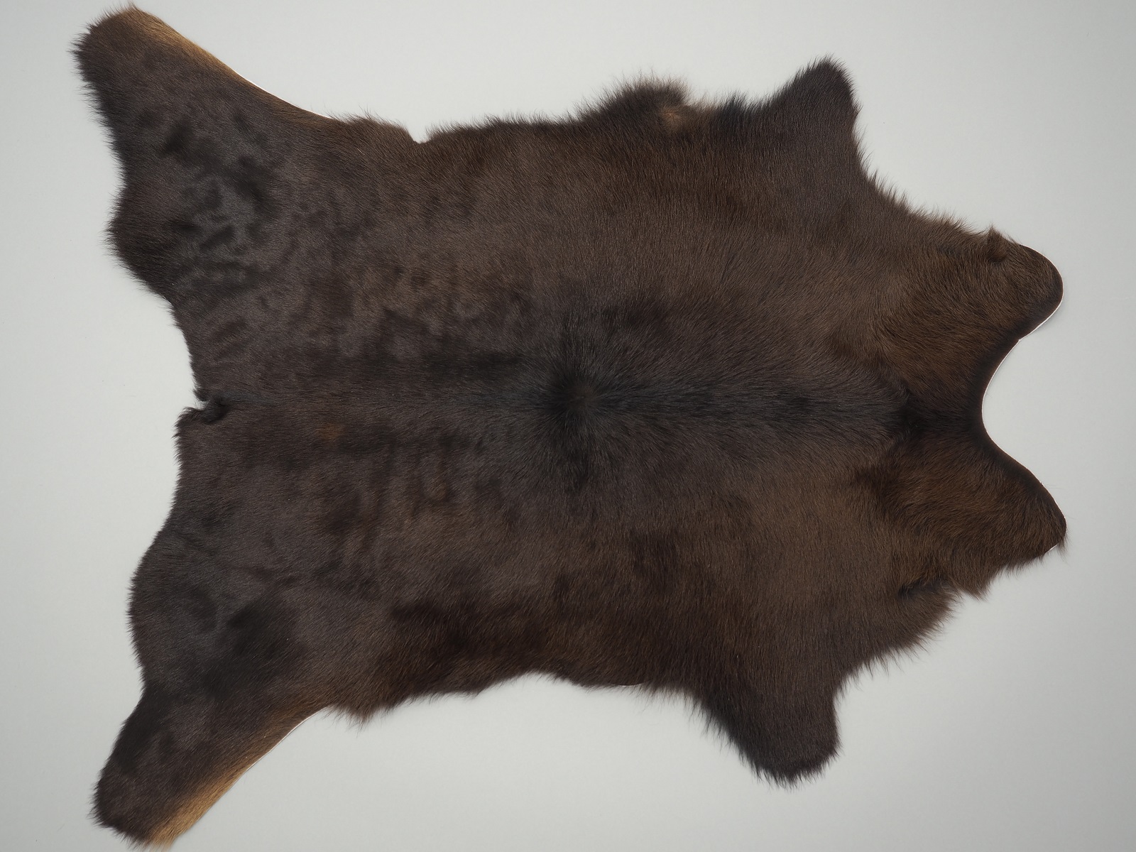 Натуральная шкура теленка темно-коричневая арт.: 27073