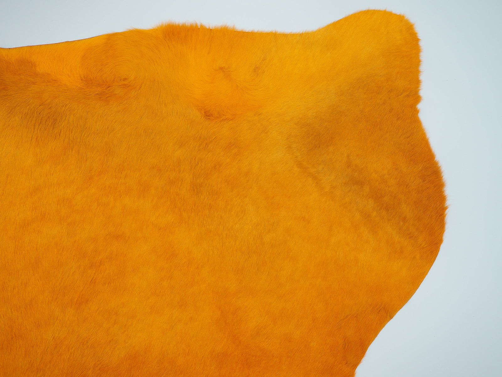 Шкура коровы натуральная – ковер оранжевая арт.: 27015
